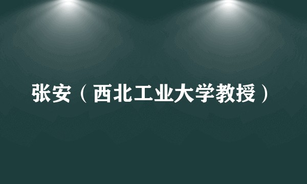 张安（西北工业大学教授）