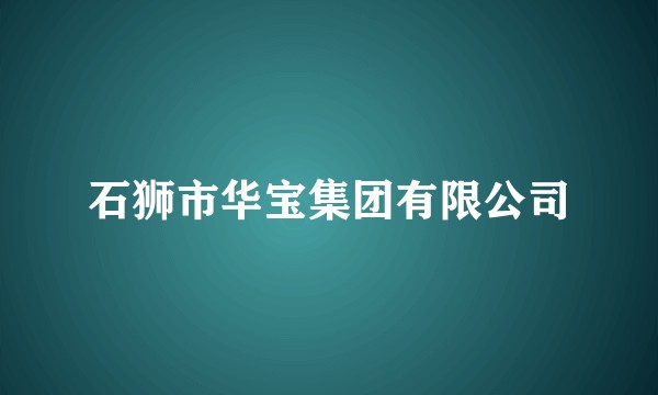 石狮市华宝集团有限公司
