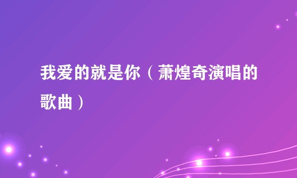 我爱的就是你（萧煌奇演唱的歌曲）