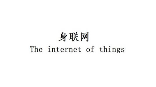 身联网
