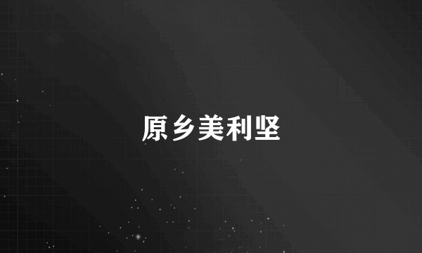 原乡美利坚