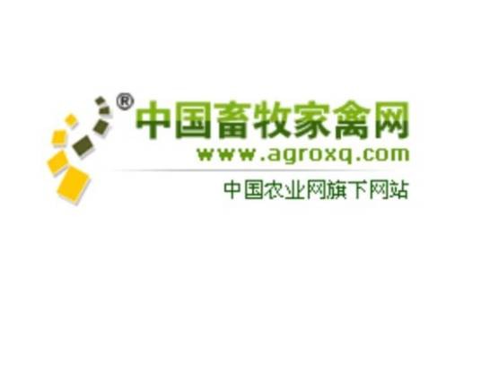 中国畜牧家禽网