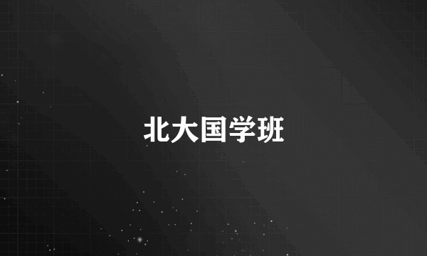 北大国学班