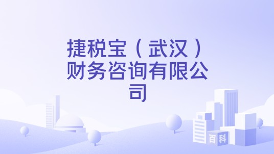 捷税宝（武汉）财务咨询有限公司