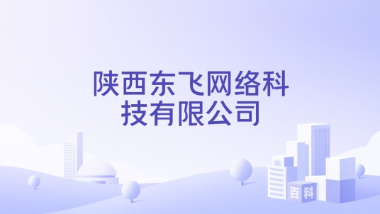 陕西东飞网络科技有限公司