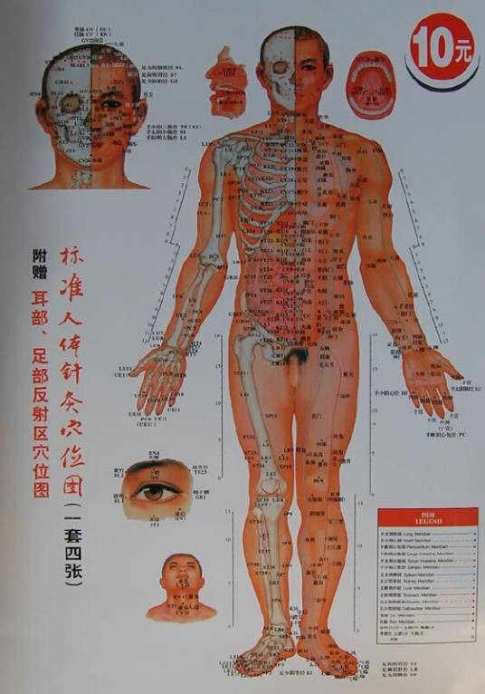 标准人体针灸穴位图