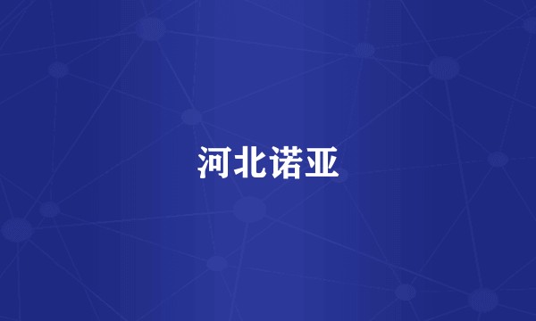 河北诺亚