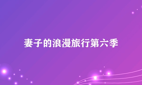 妻子的浪漫旅行第六季