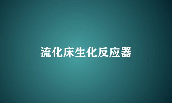 流化床生化反应器