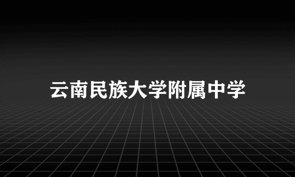 云南民族大学附属中学