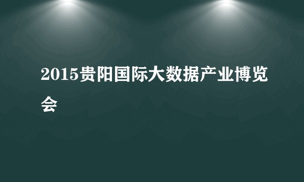 2015贵阳国际大数据产业博览会