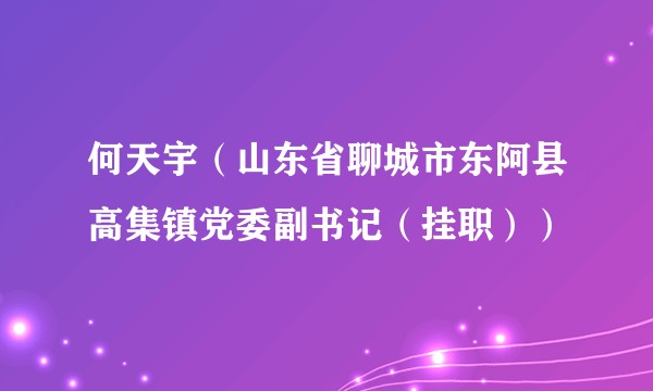 何天宇（山东省聊城市东阿县高集镇党委副书记（挂职））