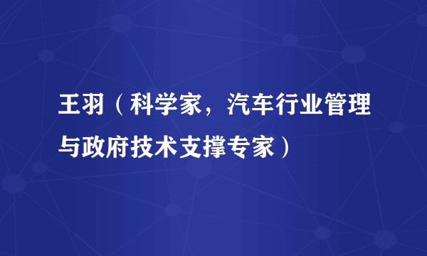 王羽（科学家，汽车行业管理与政府技术支撑专家）