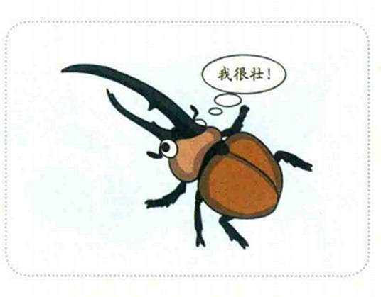 大力甲虫