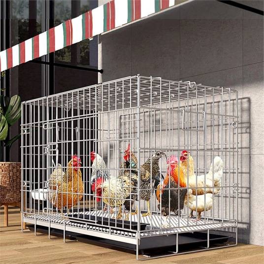鸡笼子
