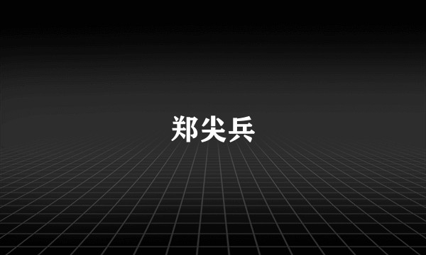 郑尖兵