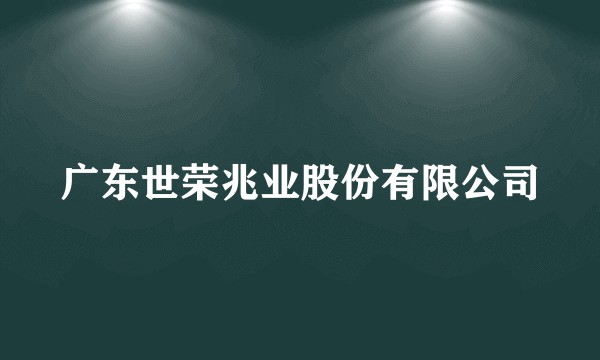 广东世荣兆业股份有限公司