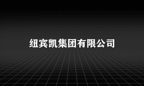 纽宾凯集团有限公司