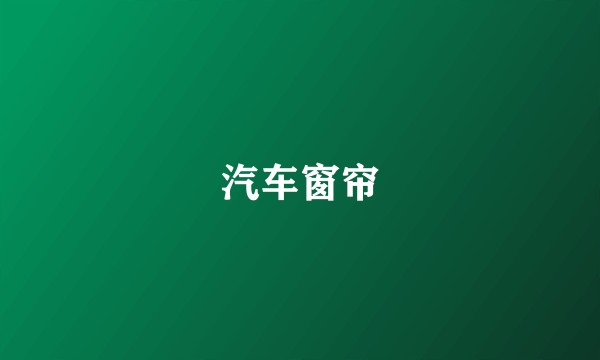 汽车窗帘