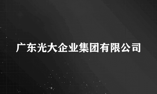 广东光大企业集团有限公司