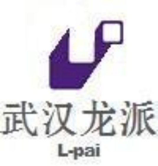 武汉龙派文化传播有限公司
