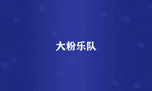 大粉乐队