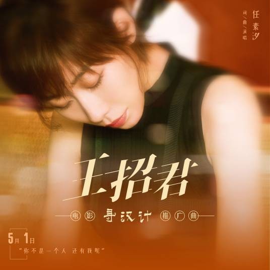 王招君（2021年电影《寻汉计》推广曲）