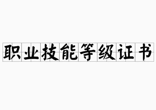 职业技能等级证书