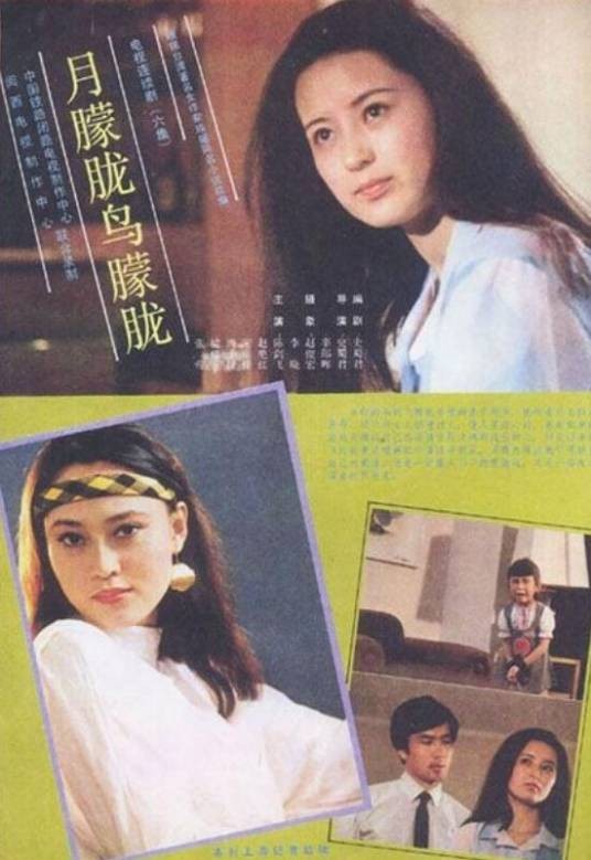 月朦胧鸟朦胧(1986年史蜀君执导的爱情剧)