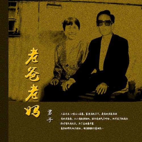 老爸老妈（君子演唱的歌曲）