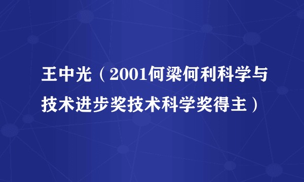 王中光（2001何梁何利科学与技术进步奖技术科学奖得主）
