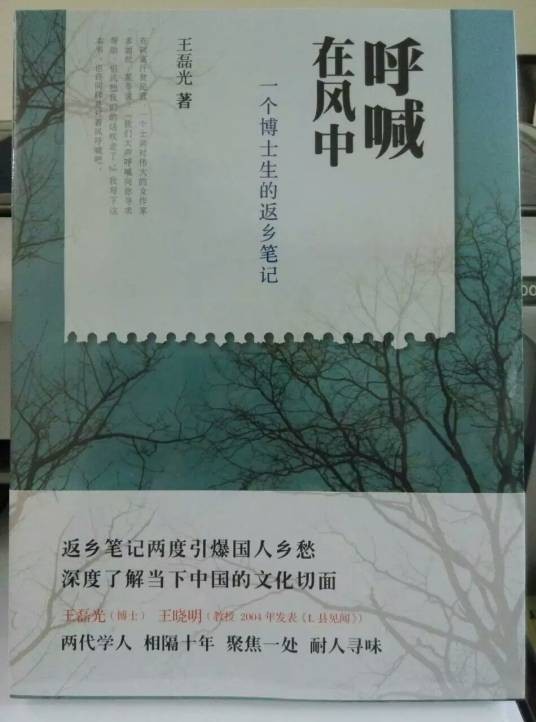 呼喊在风中:一个博士生的返乡笔记