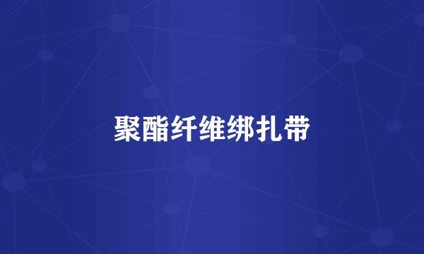 聚酯纤维绑扎带
