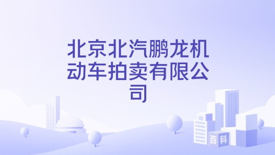 北京北汽鹏龙机动车拍卖有限公司
