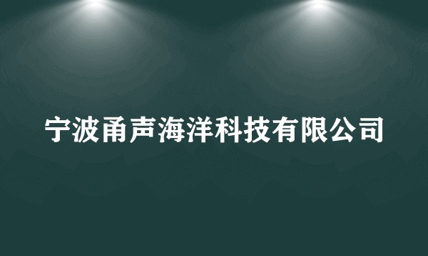 宁波甬声海洋科技有限公司