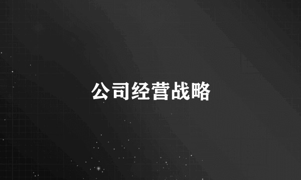 公司经营战略