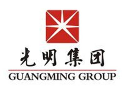光明集团股份有限公司