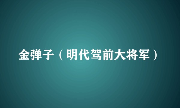 金弹子（明代驾前大将军）