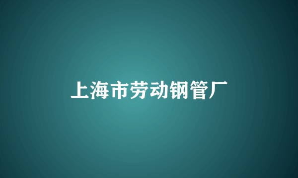 上海市劳动钢管厂