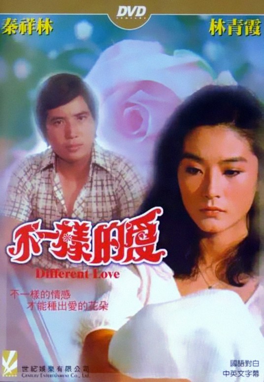 不一样的爱（1976年文石麟执导的电影）