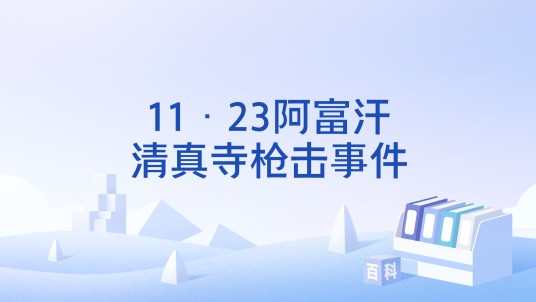11·23阿富汗清真寺枪击事件