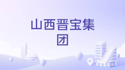 山西晋宝集团