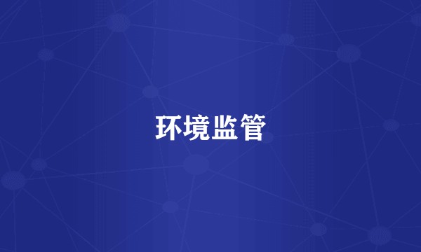 环境监管