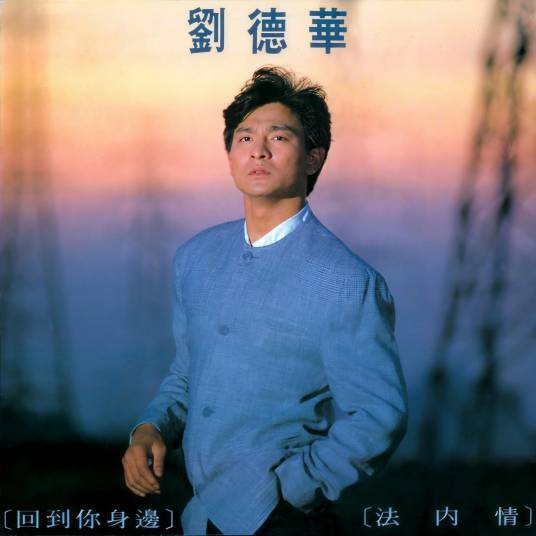 法内情（1989年刘德华演唱歌曲）