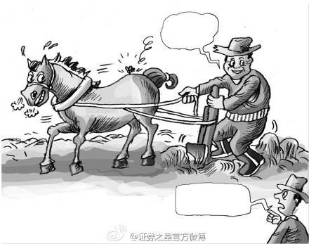 牛蝇效应