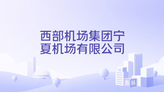 西部机场集团宁夏机场有限公司