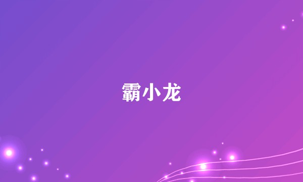 霸小龙