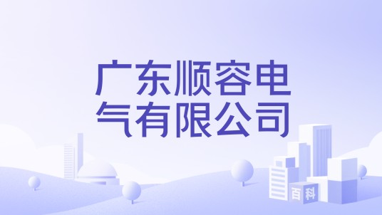 广东顺容电气有限公司