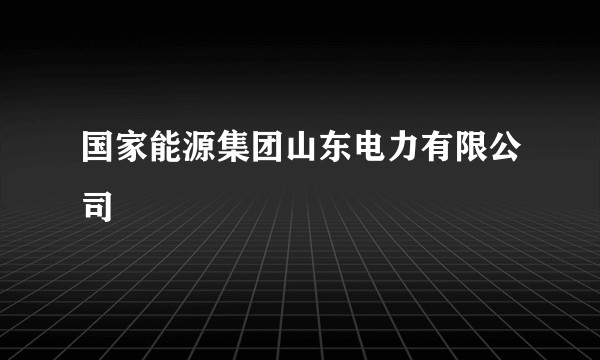 国家能源集团山东电力有限公司