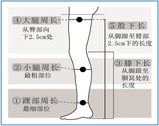 静脉曲张袜